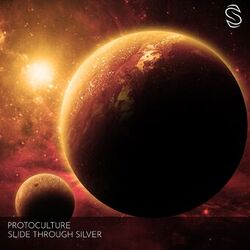 Cover of Slide Through Silver