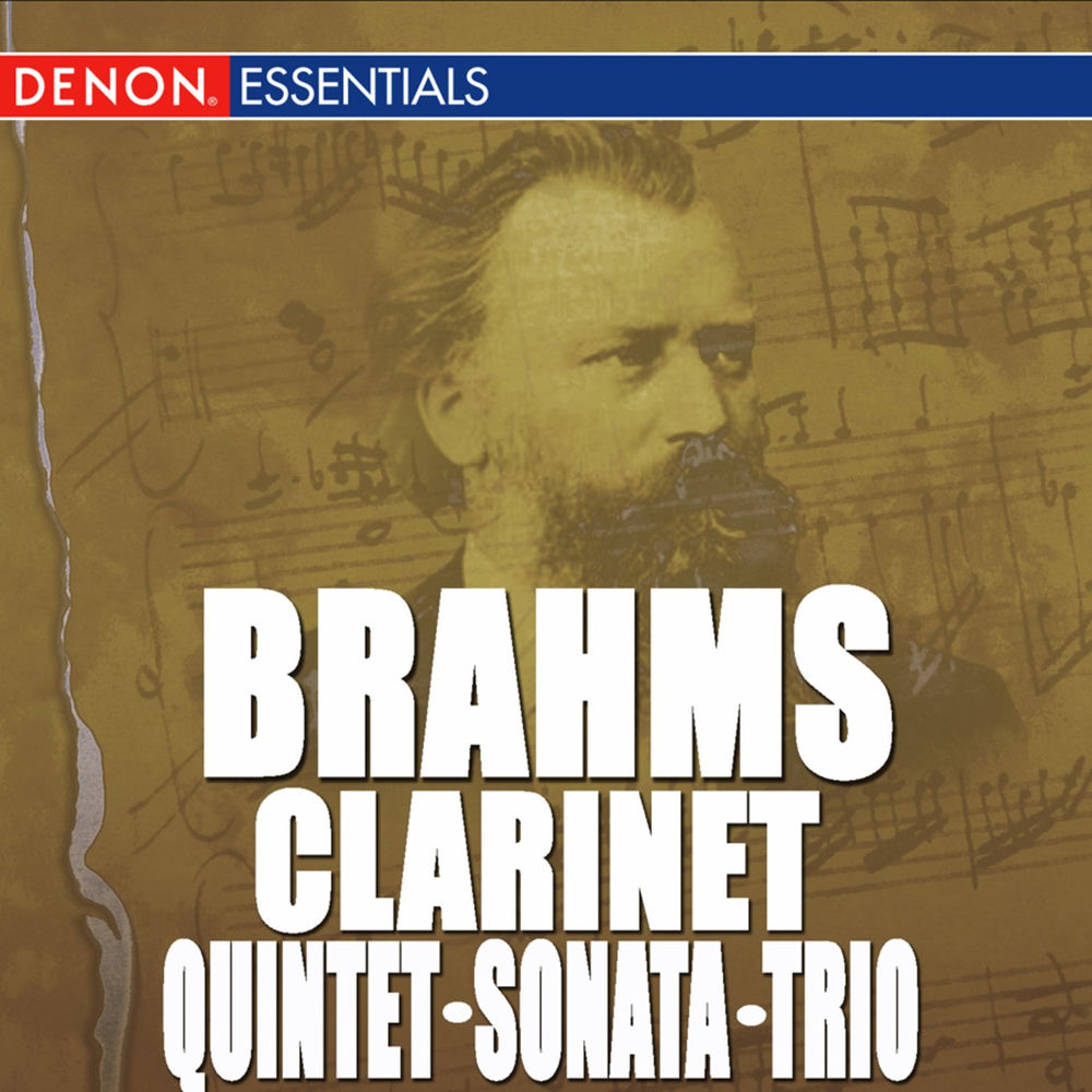Trio for Clarinet, Piano and Violoncelloin A Minor, Op. 114: IV. Allegro