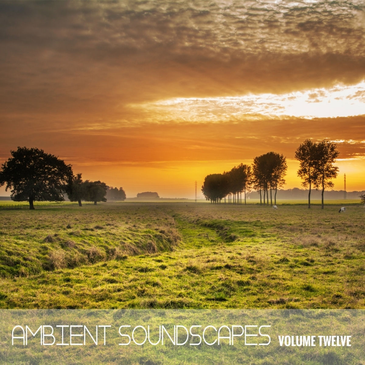 Album cover of Ambient SoundScapes, Vol. 12