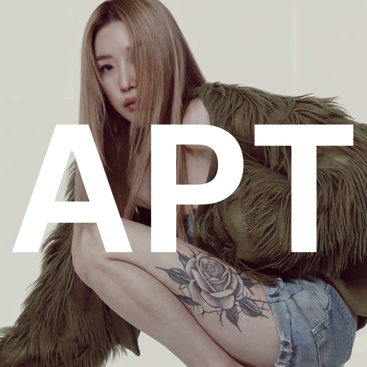 Album cover of APT