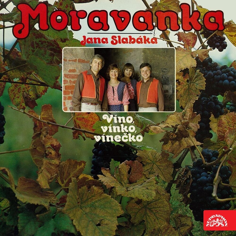 Picture of Víno, Vínko, Vínečko