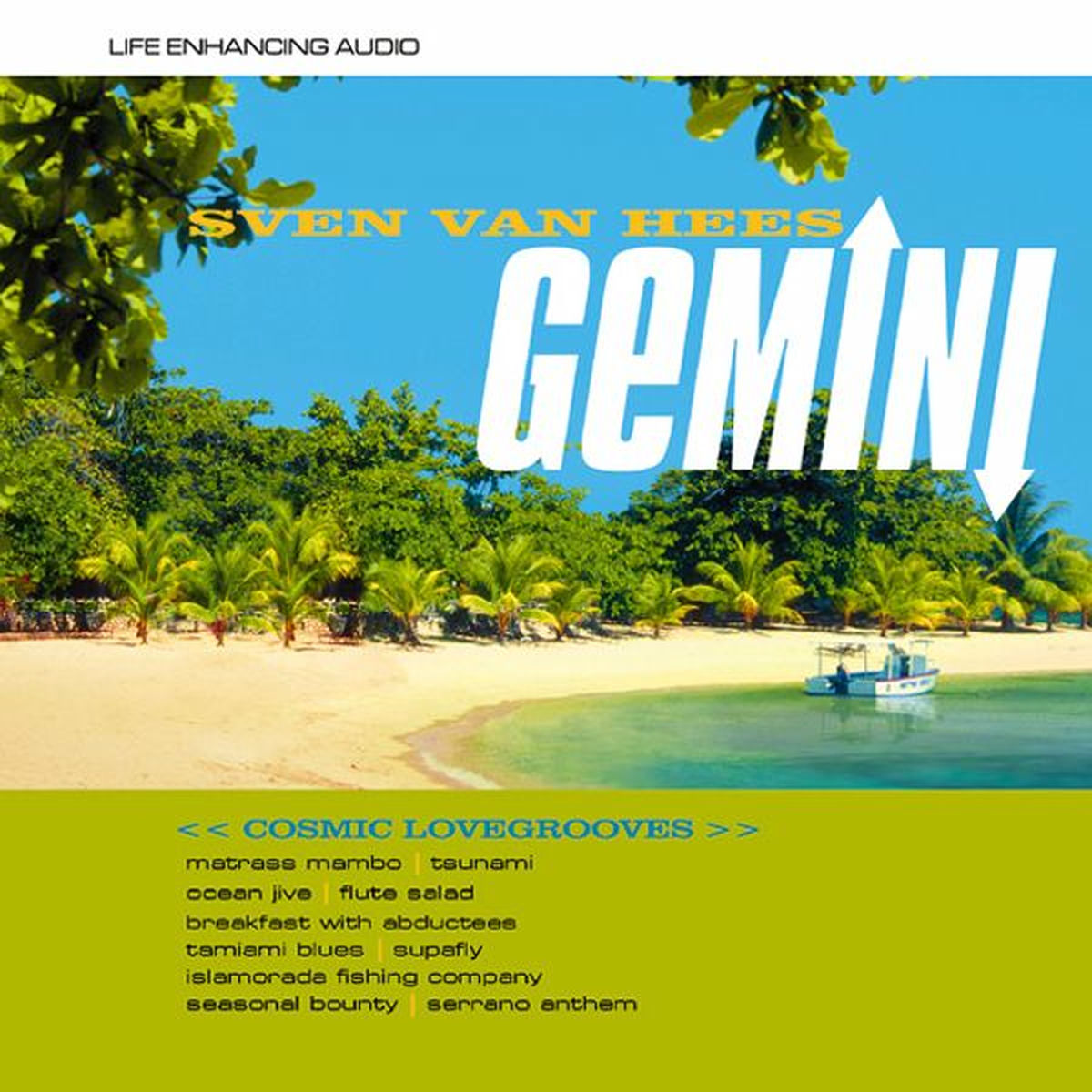 Album cover of Gemini