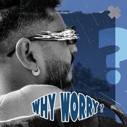 Cover of WHY WORRY ?