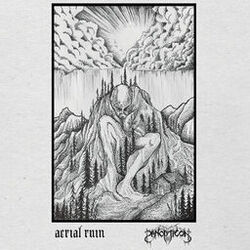 Cover of Aerial Ruin