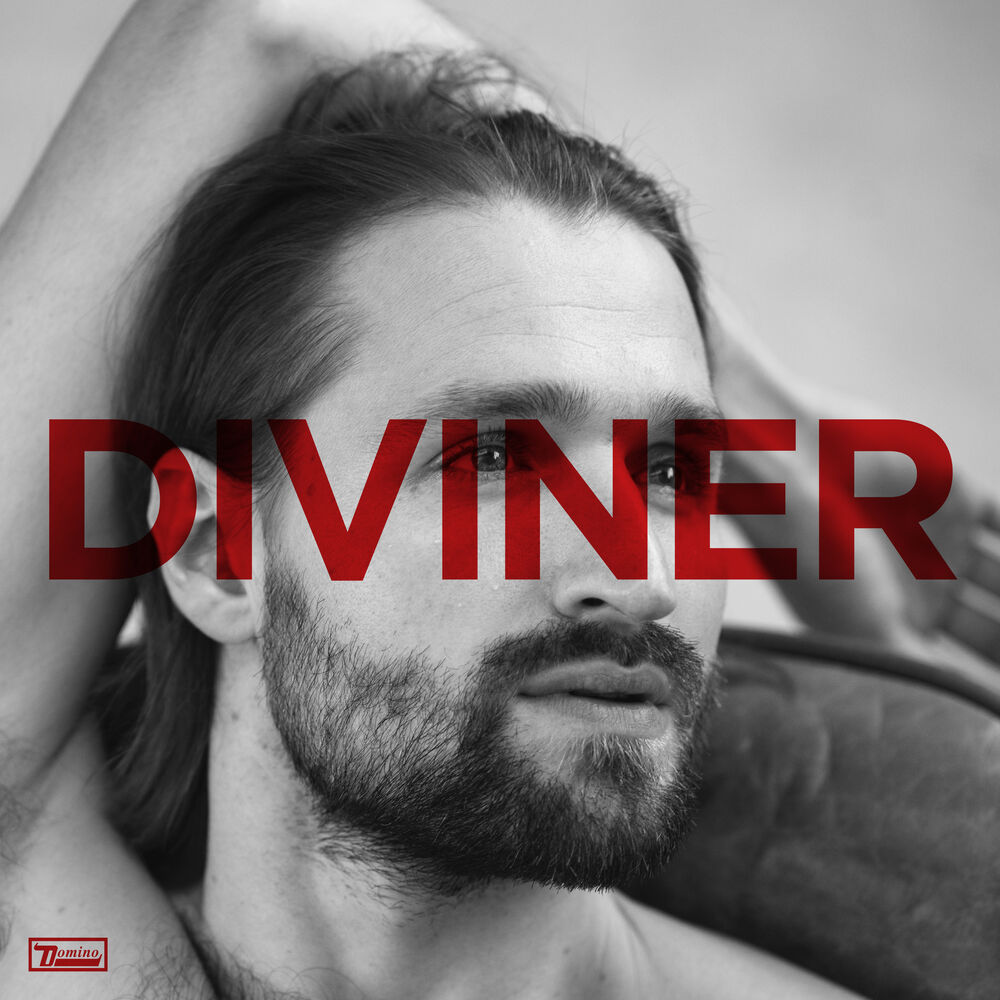 Picture of Diviner