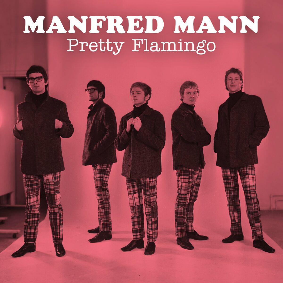Album cover of Pretty Flamingo