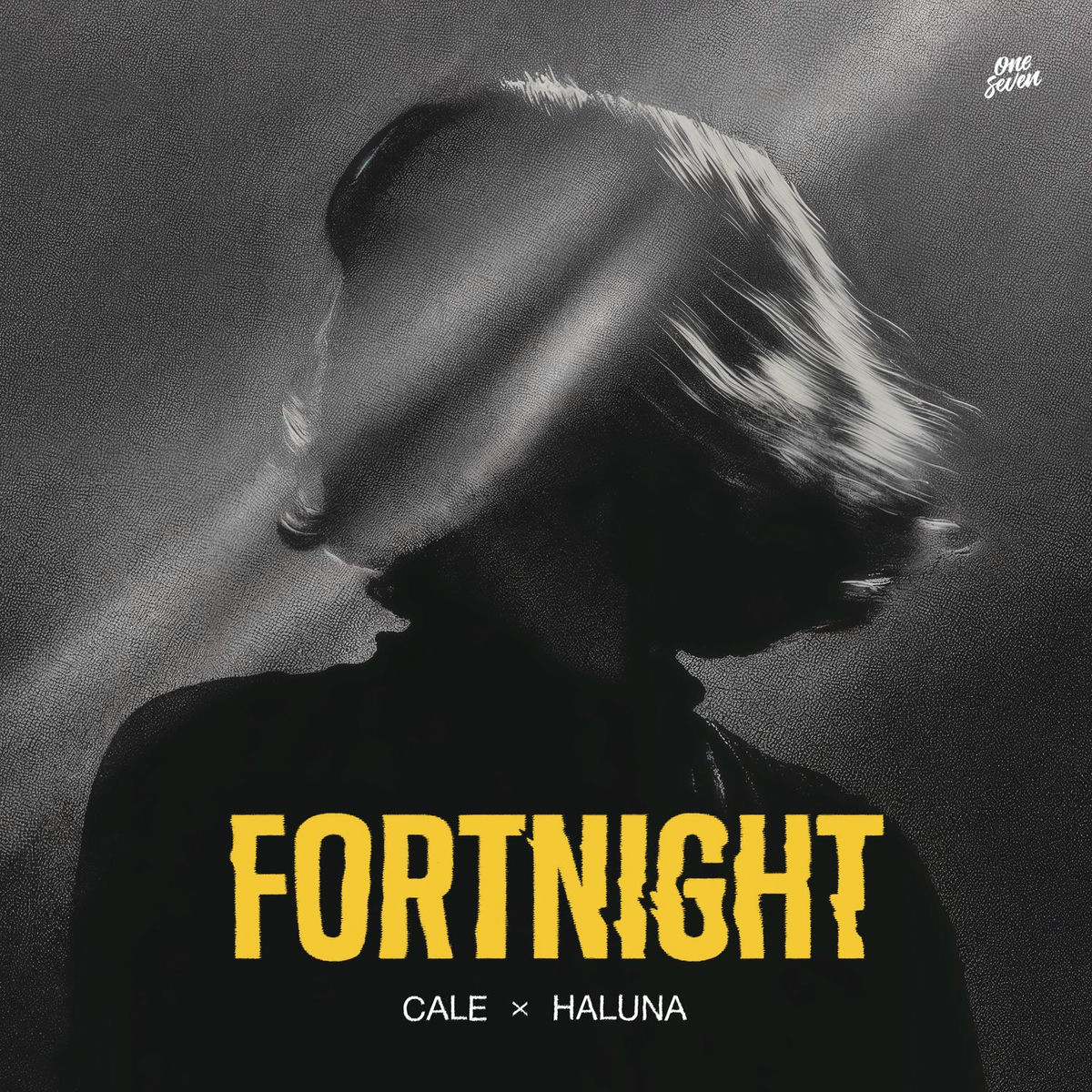 Album cover of Fortnight