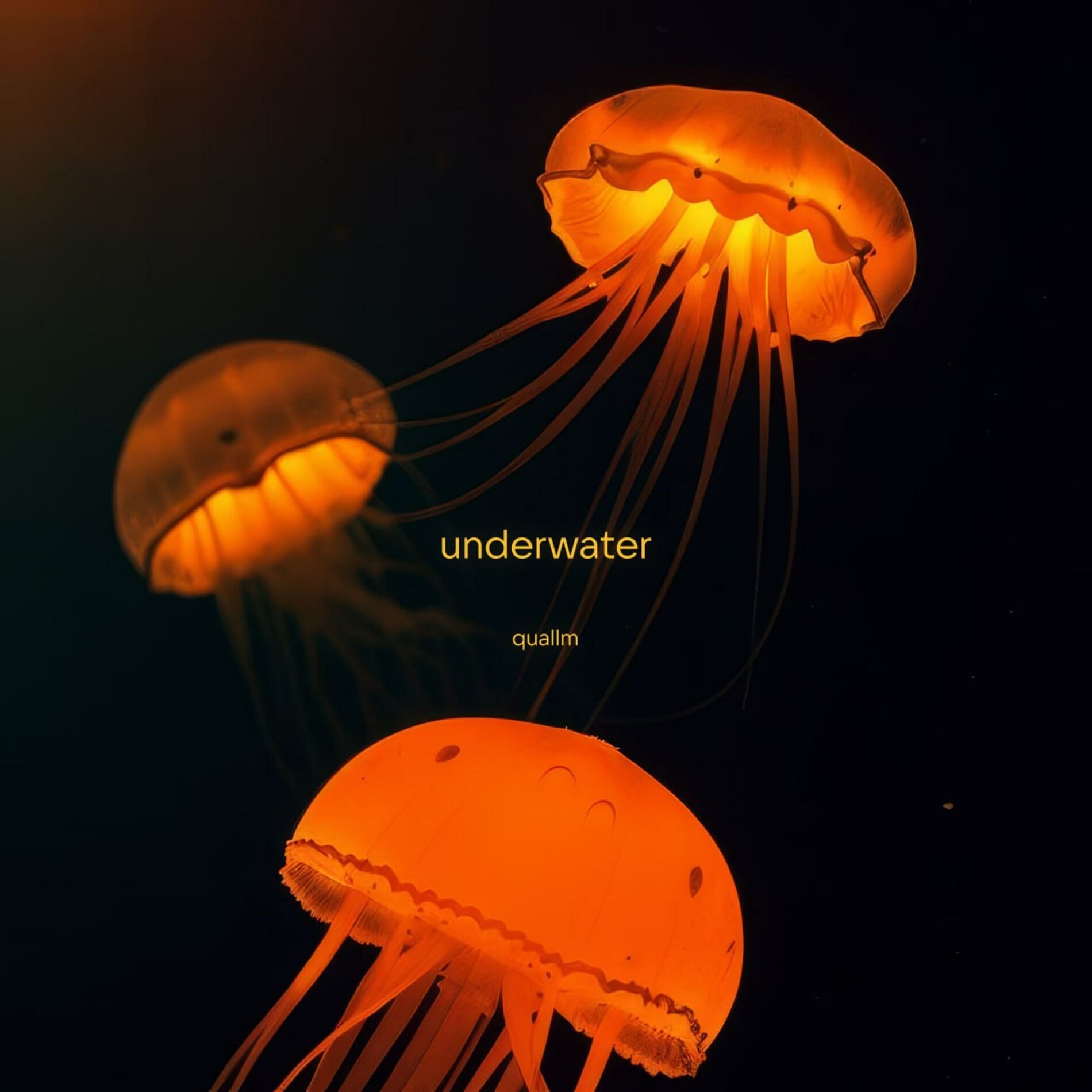 Album cover of Underwater
