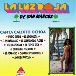 Cover of La Luz Roja de San Marcos
