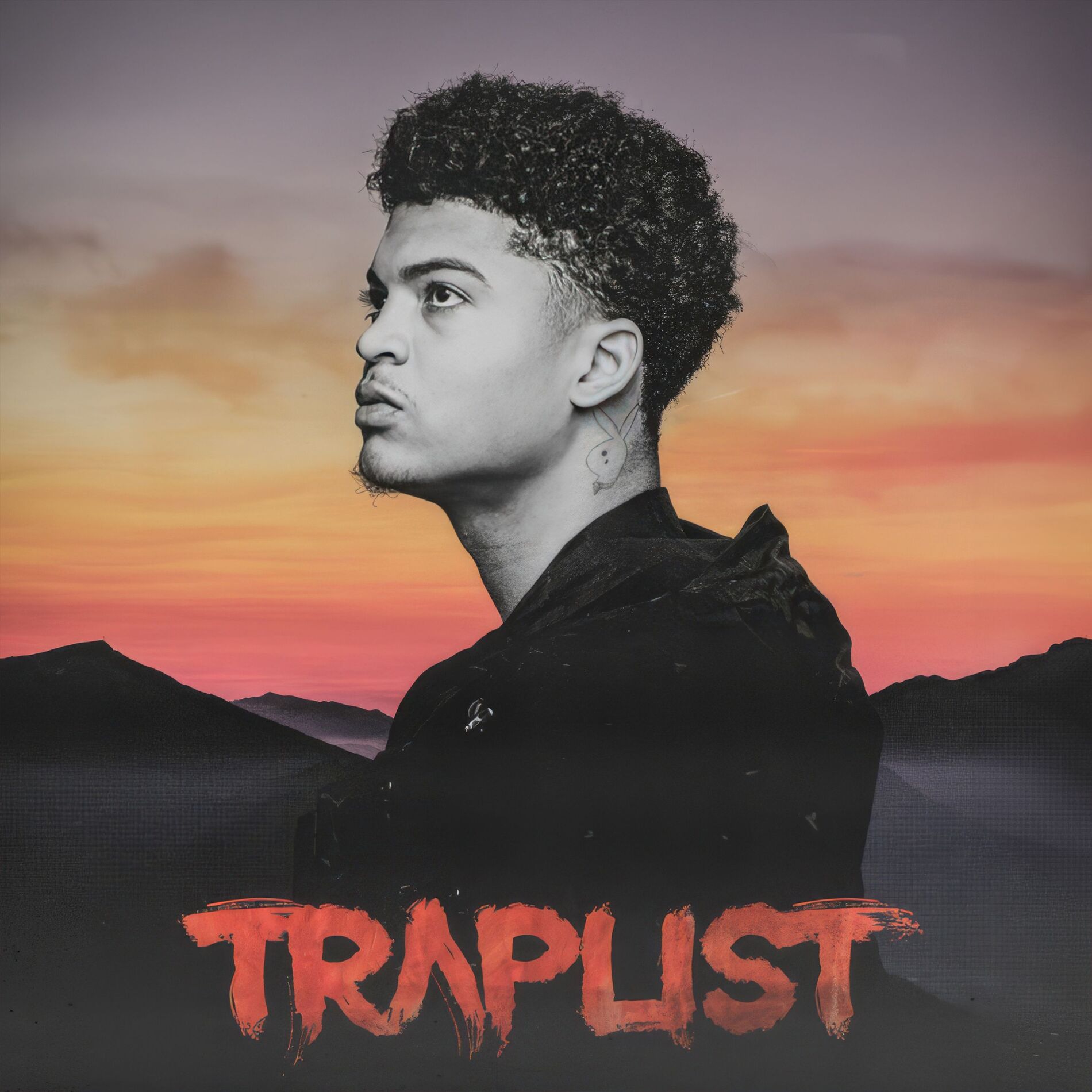 Album cover of Traplist