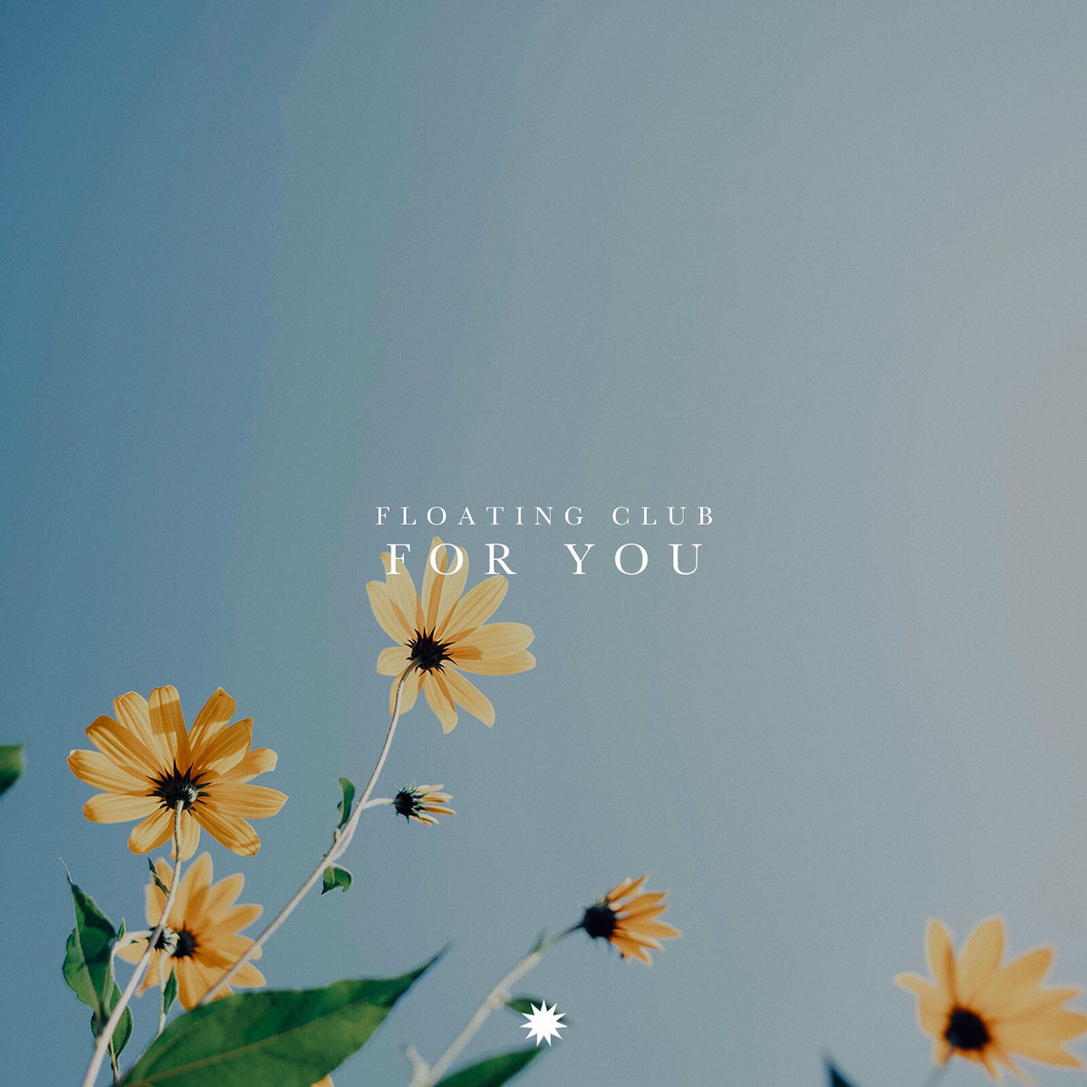 Album cover of For You