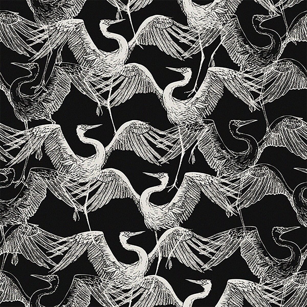 Album cover of Ankara