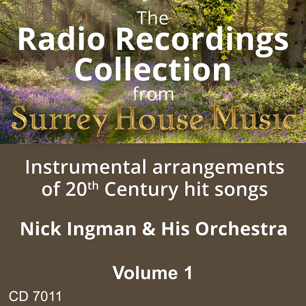 Picture of Nick Ingman & His Orchestra, Vol. 1