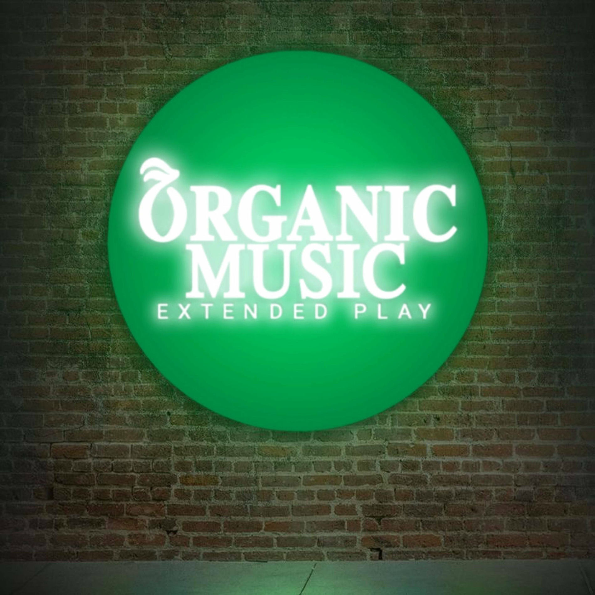 Album cover of Organic Music