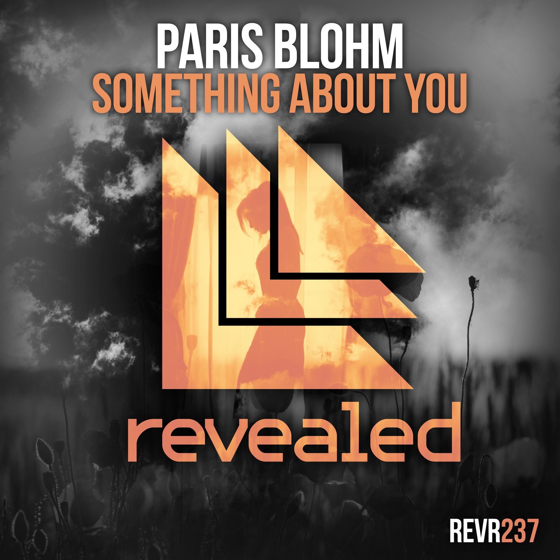 Album cover of Something About You