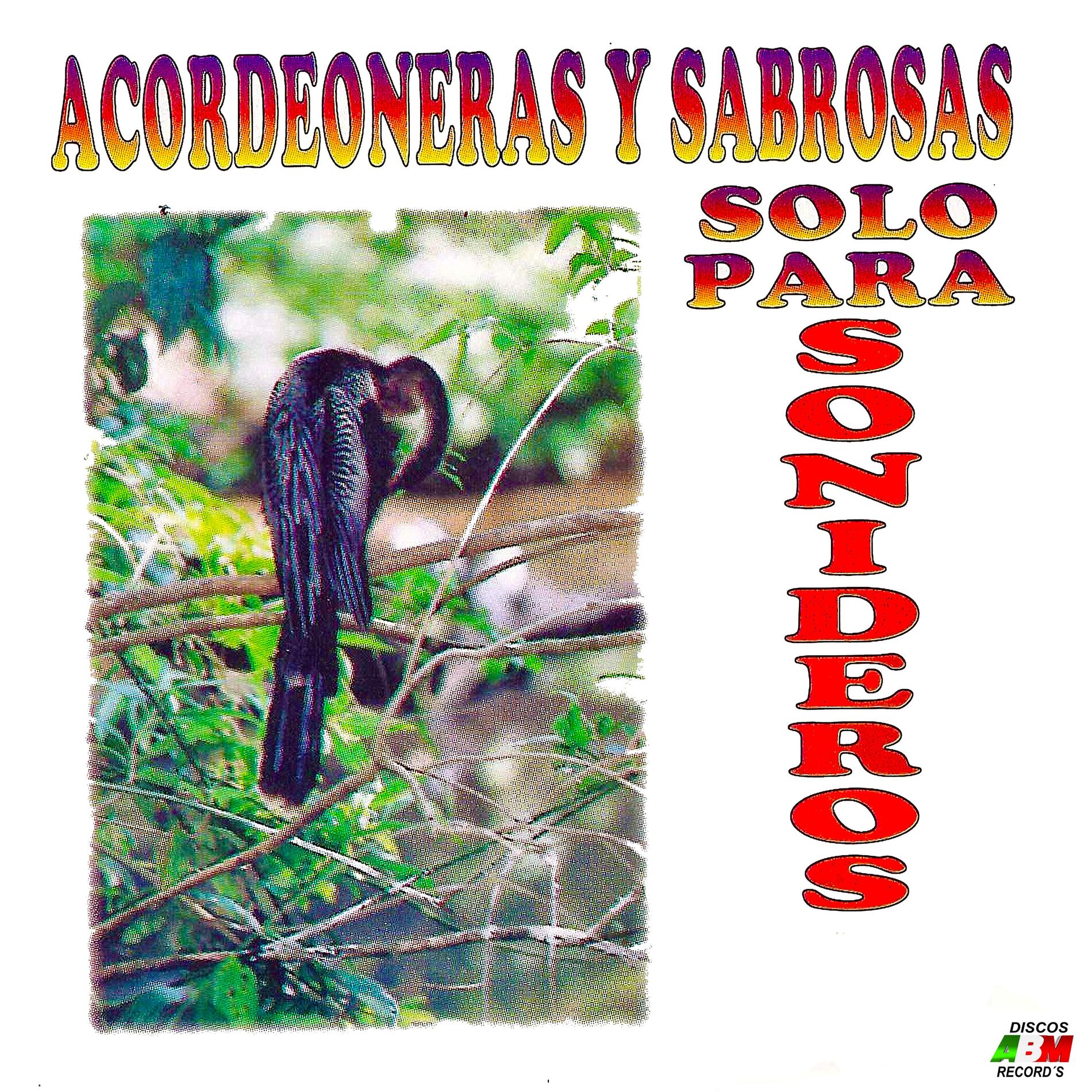 Album cover of Acordeoneras Y Sabrosas, Solo Para Sonideros