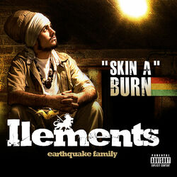 Cover of Skin a burn