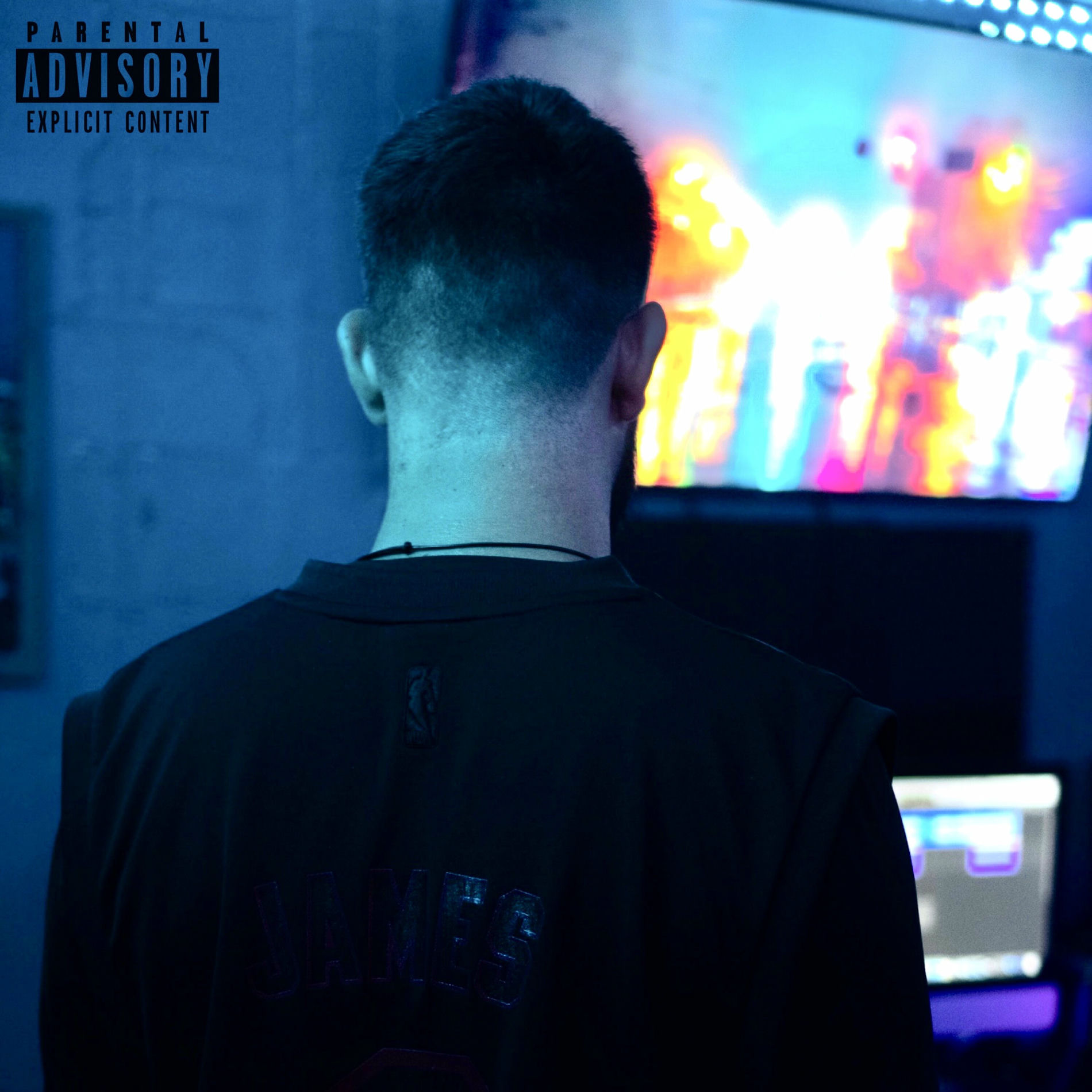 Album cover of Stevie