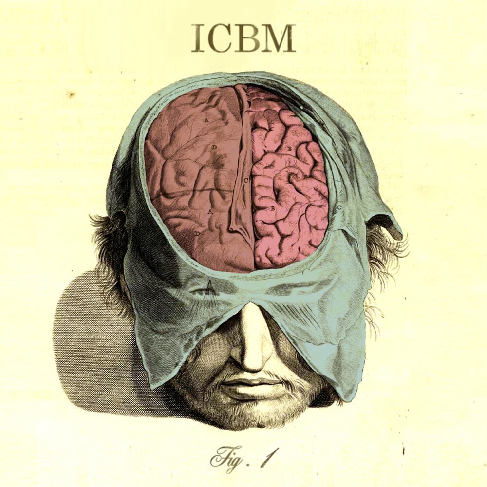 Picture of Fig. 1