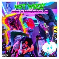 Cover of Not Wock