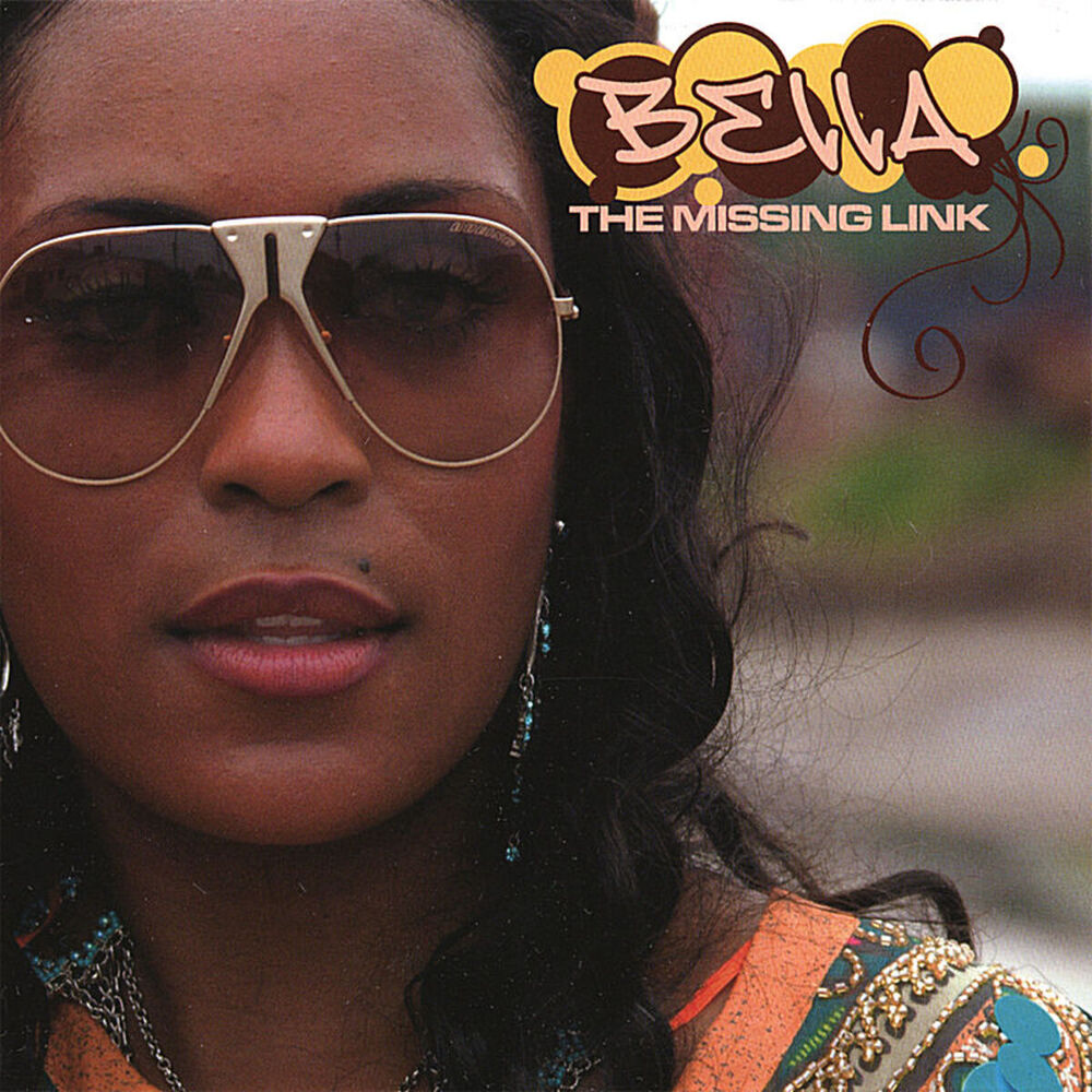 Picture of The Missing Link
