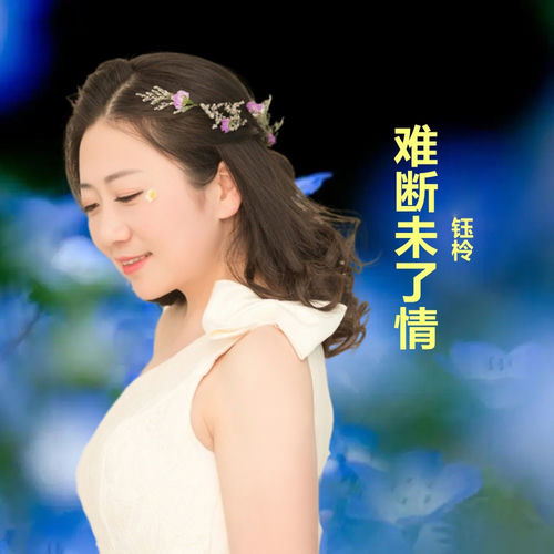难断未了情 (DJ版)