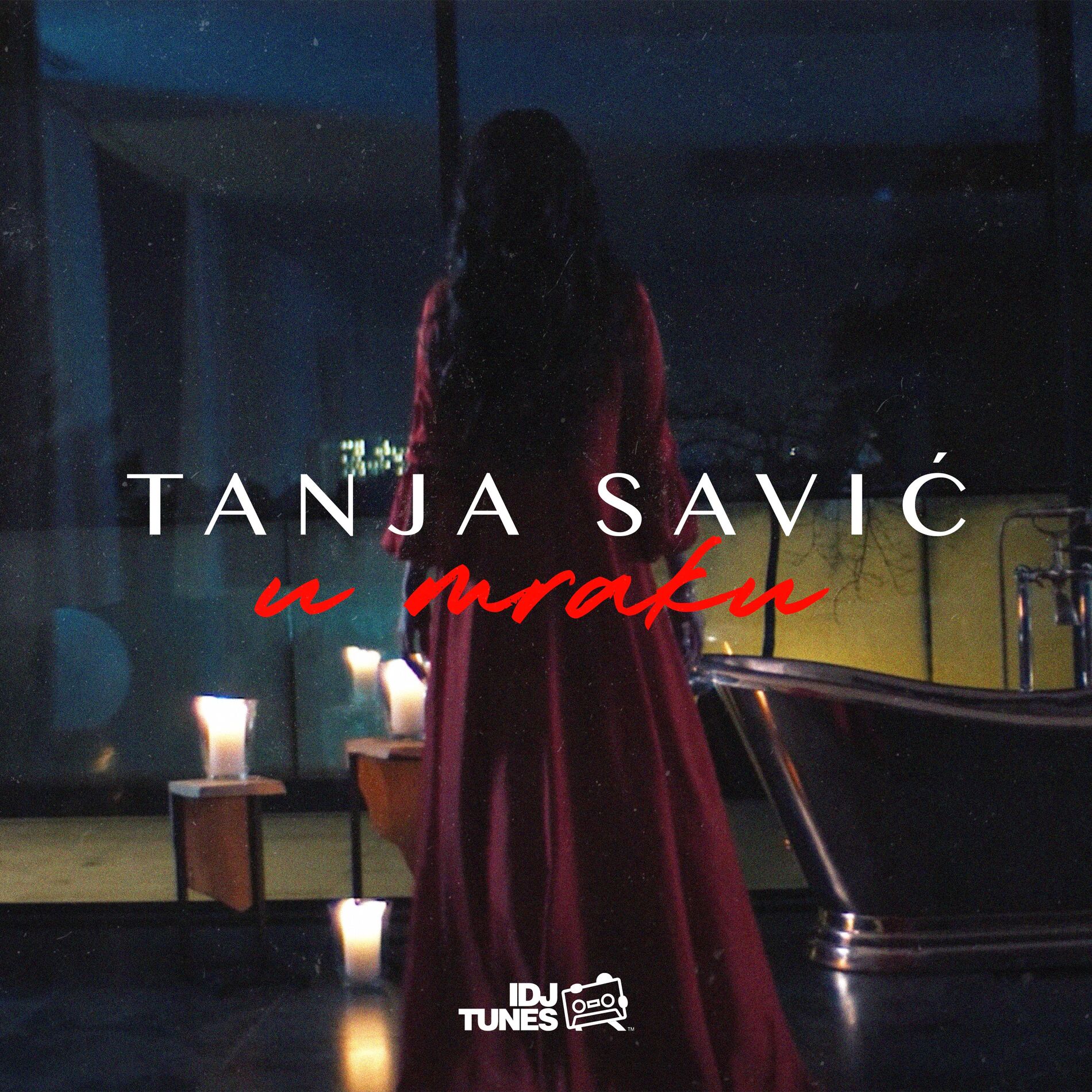 Album cover of U Mraku
