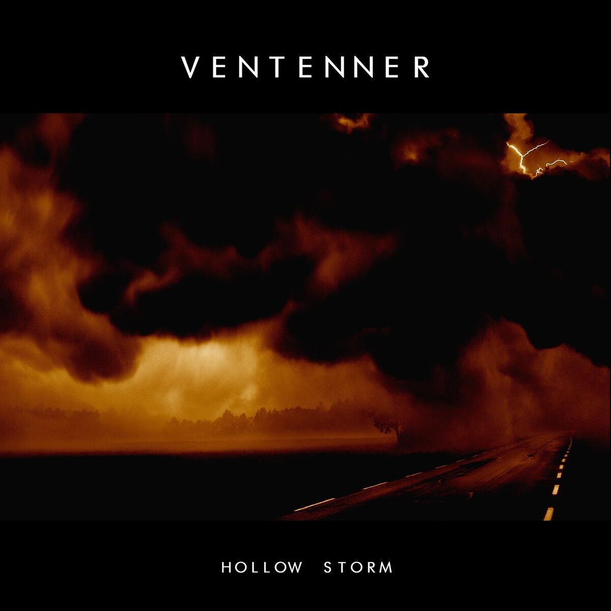 Album cover of Hollow Storm
