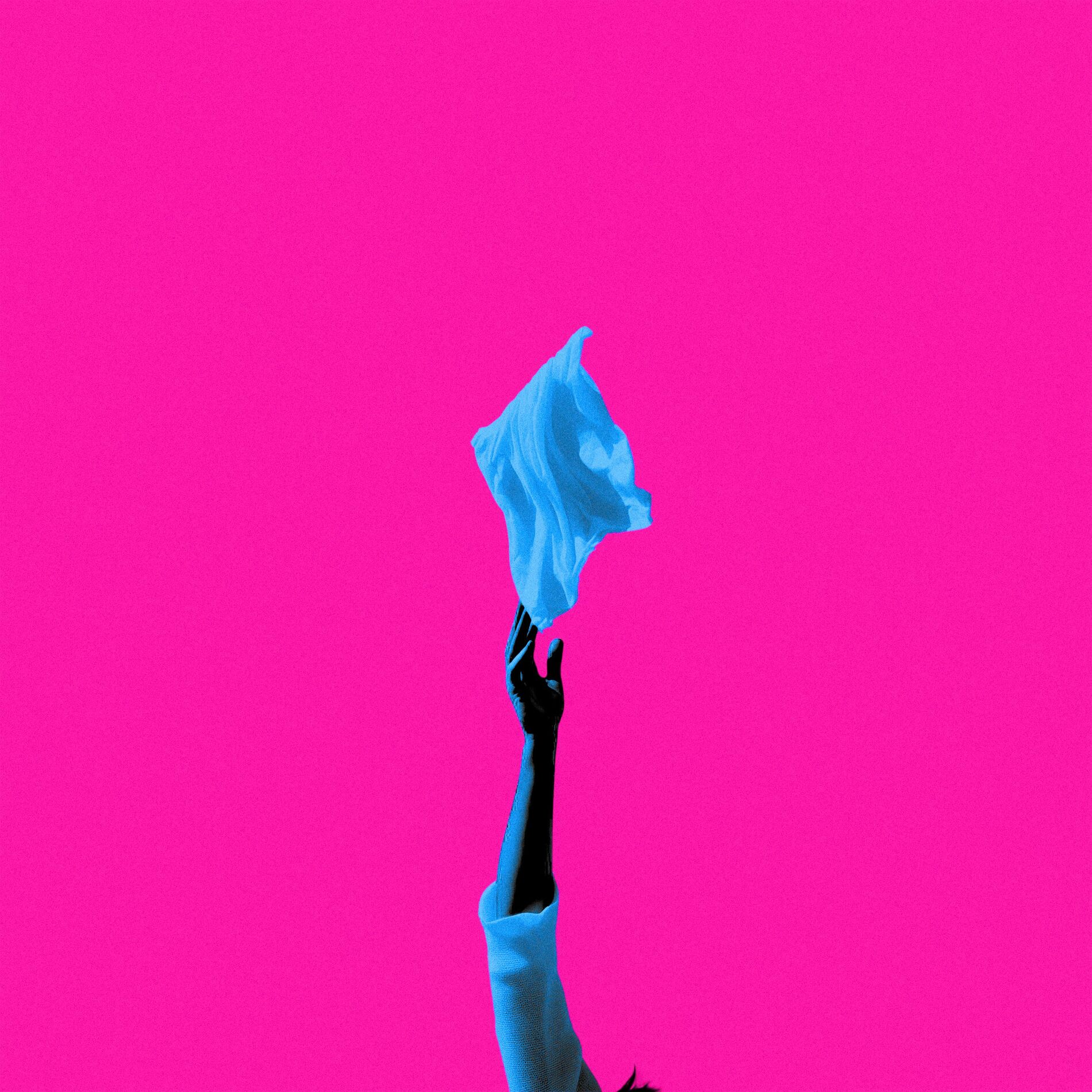 Album cover of Fling It Up