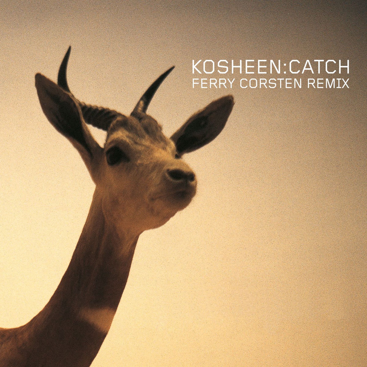 Album cover of Catch (Ferry Corsten Remix)