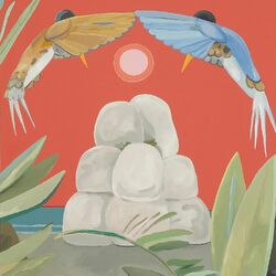Cover of Bird Calling