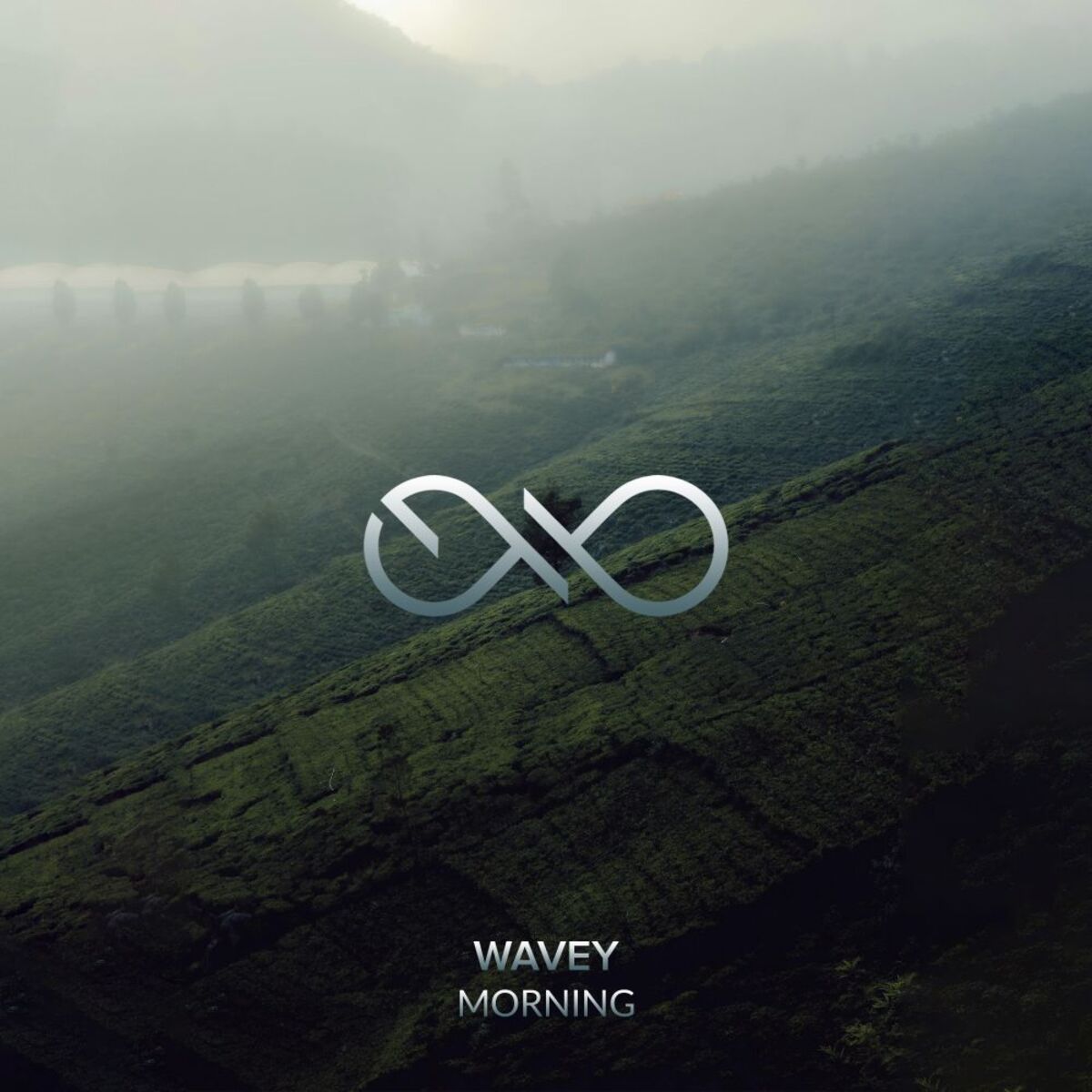 Album cover of Morning