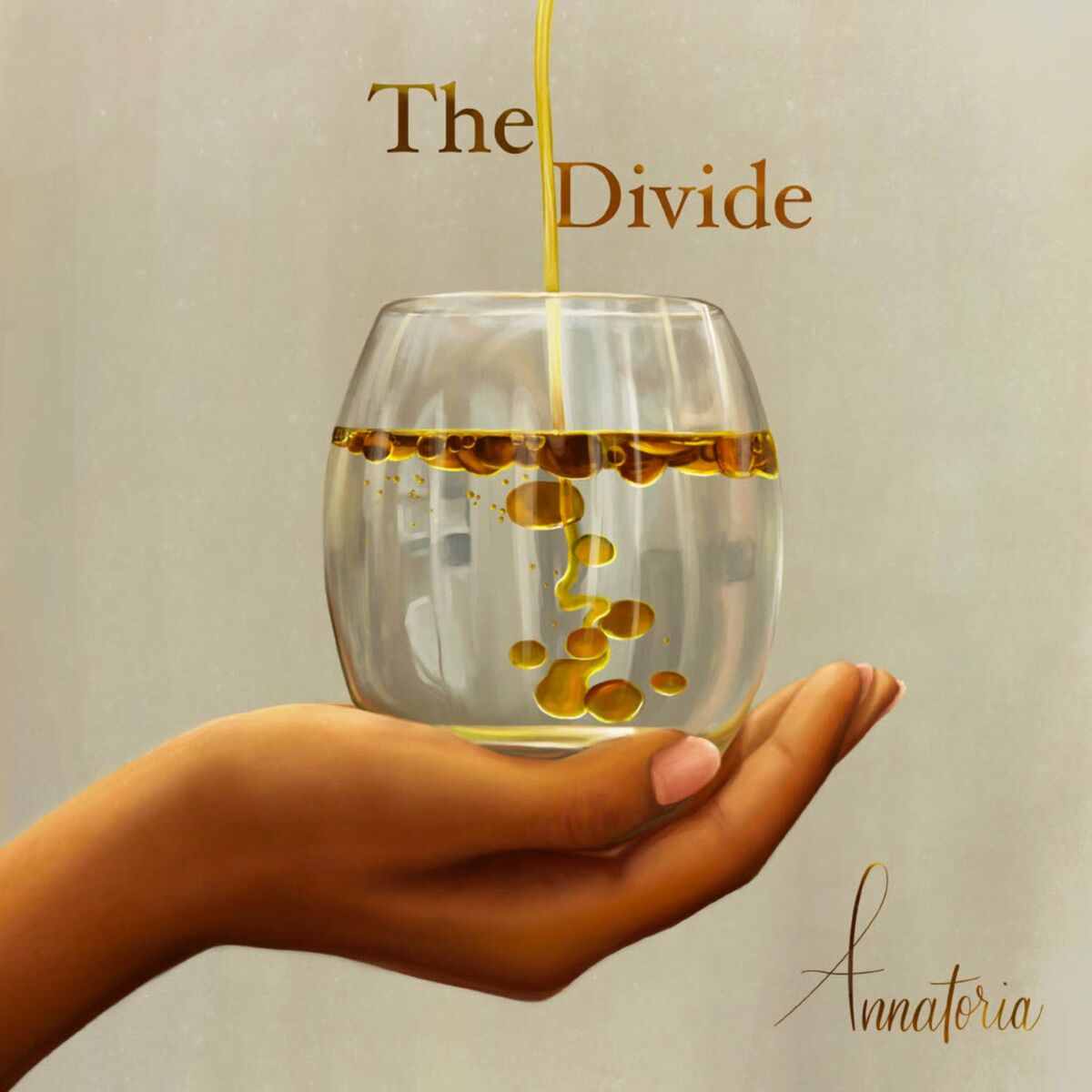 Album cover of The Divide