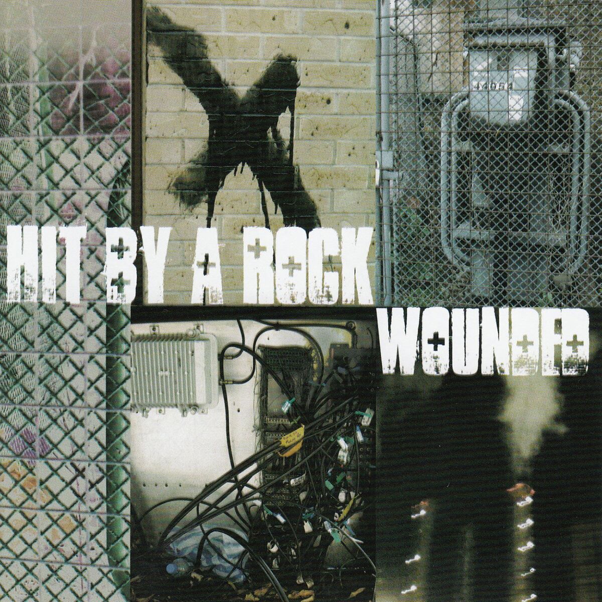 Album cover of Wounded