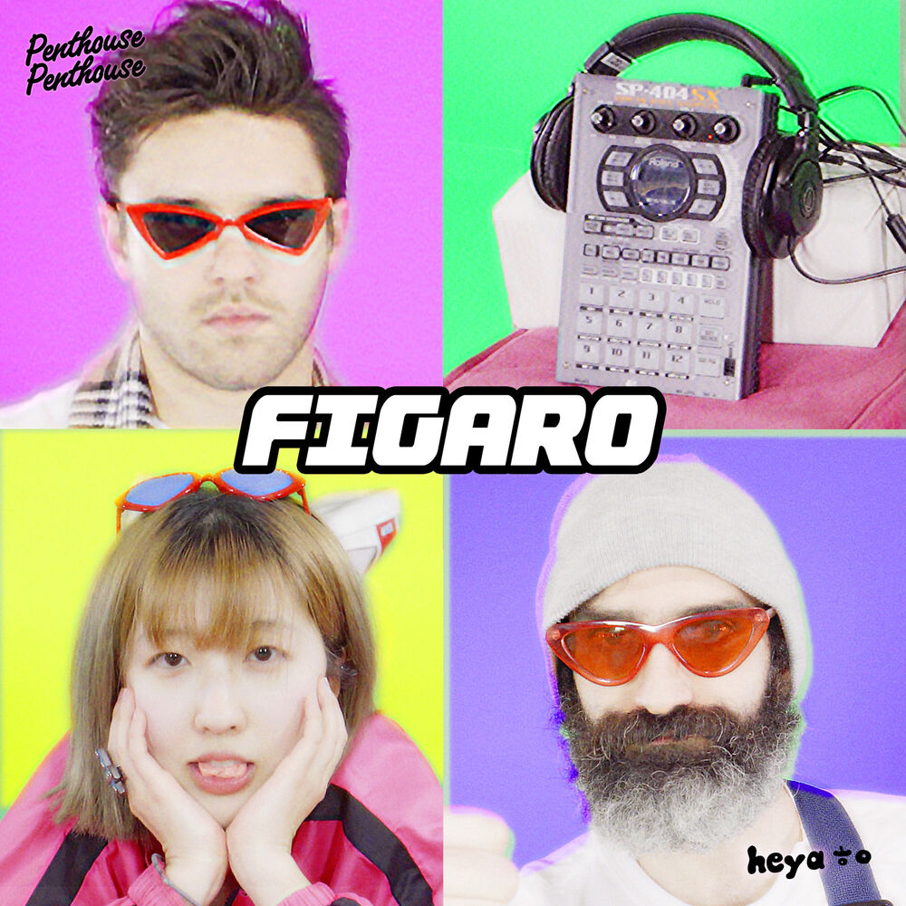 Picture of Figaro