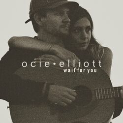 Cover of Wait for You