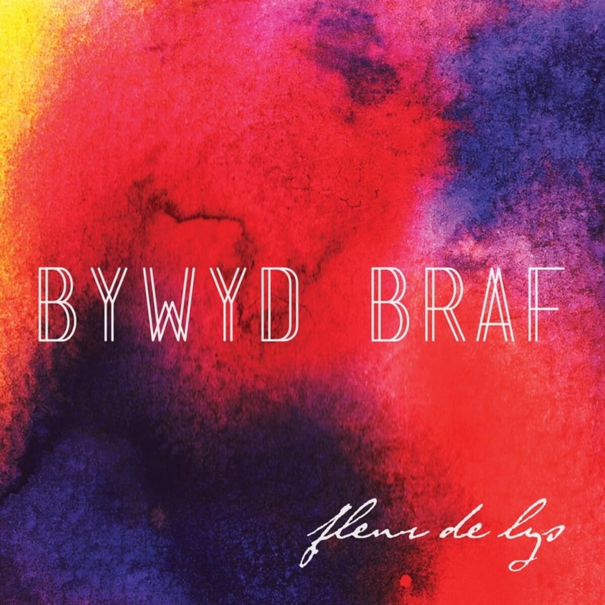 Album cover of Bywyd Braf