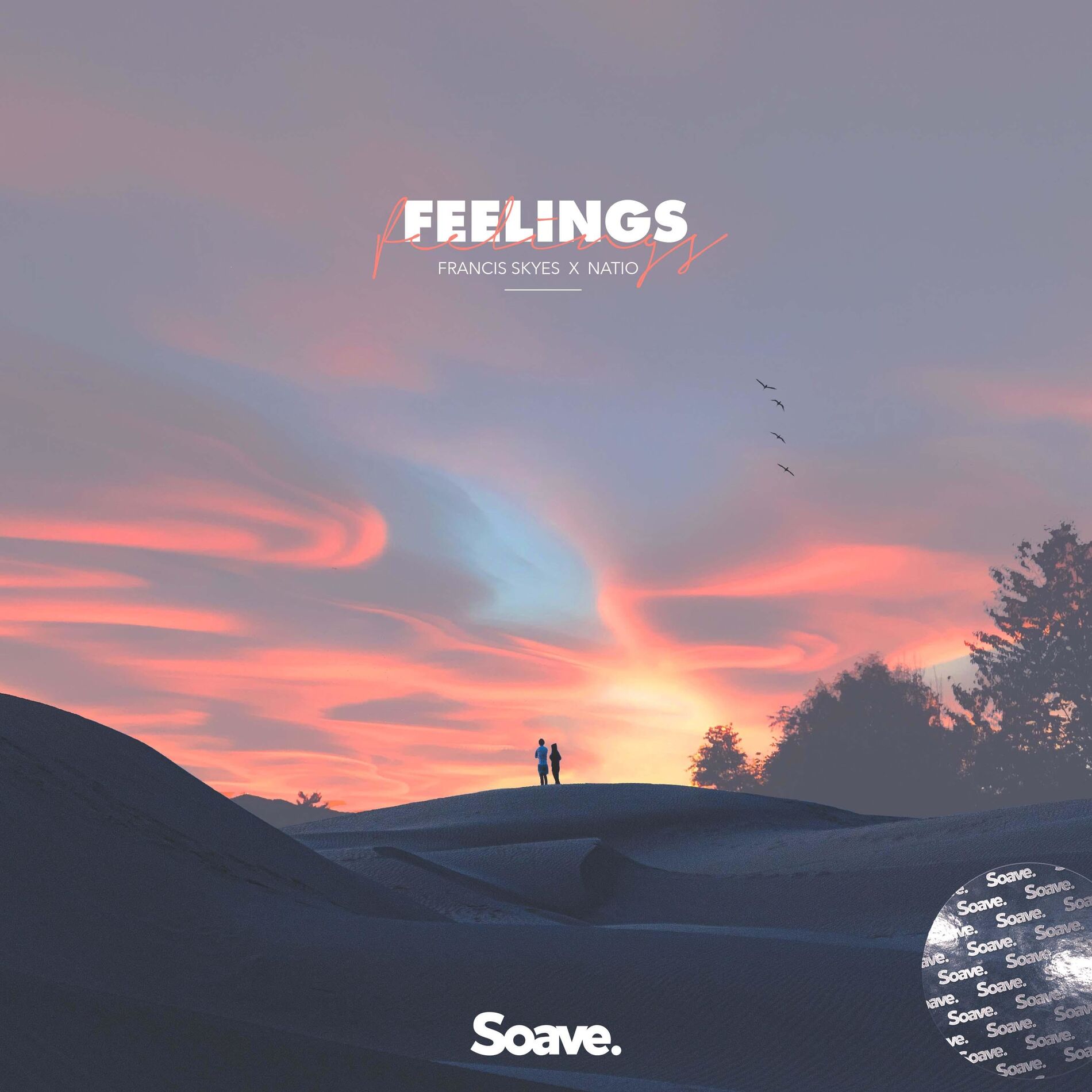 Album cover of Feelings
