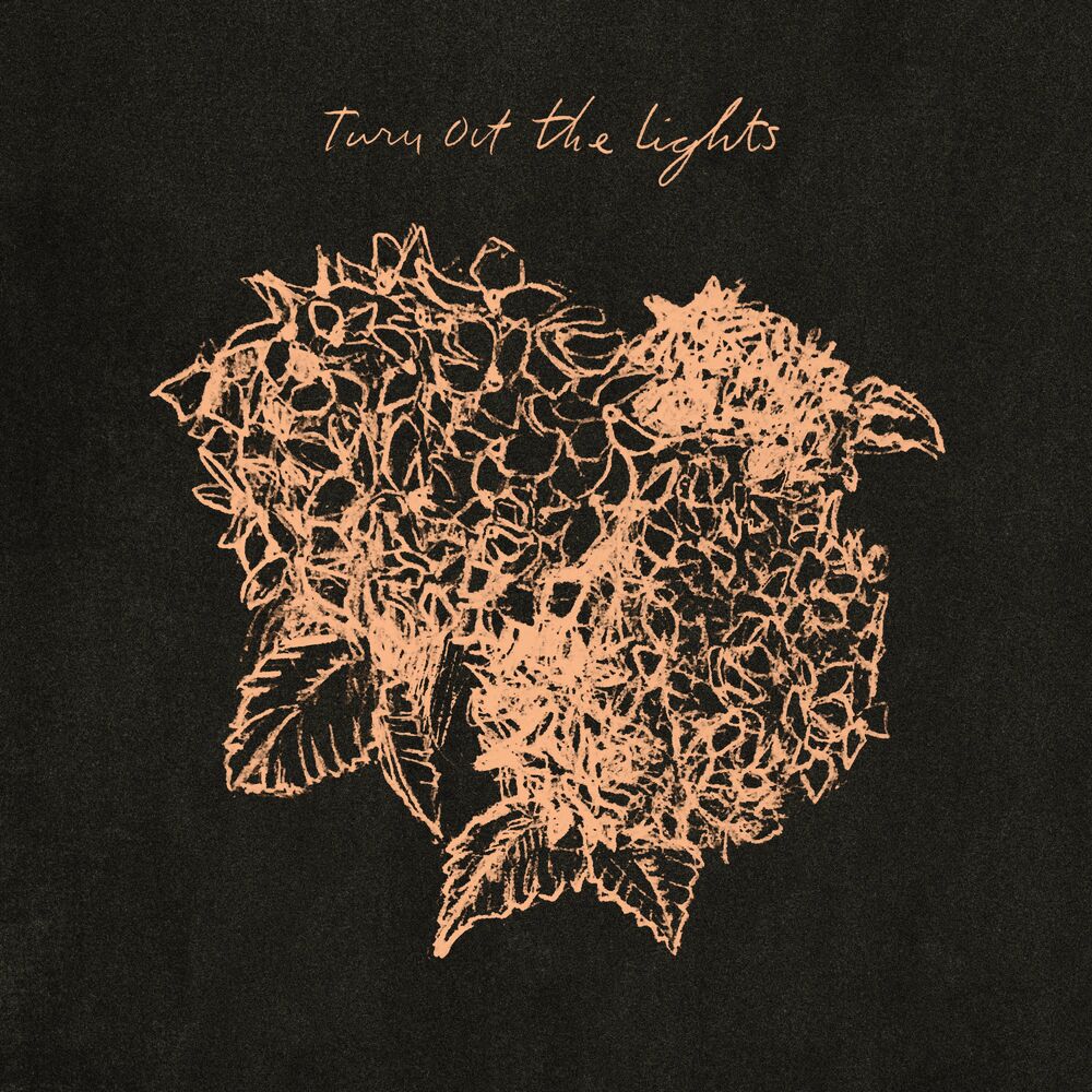 Picture of Turn Out the Lights