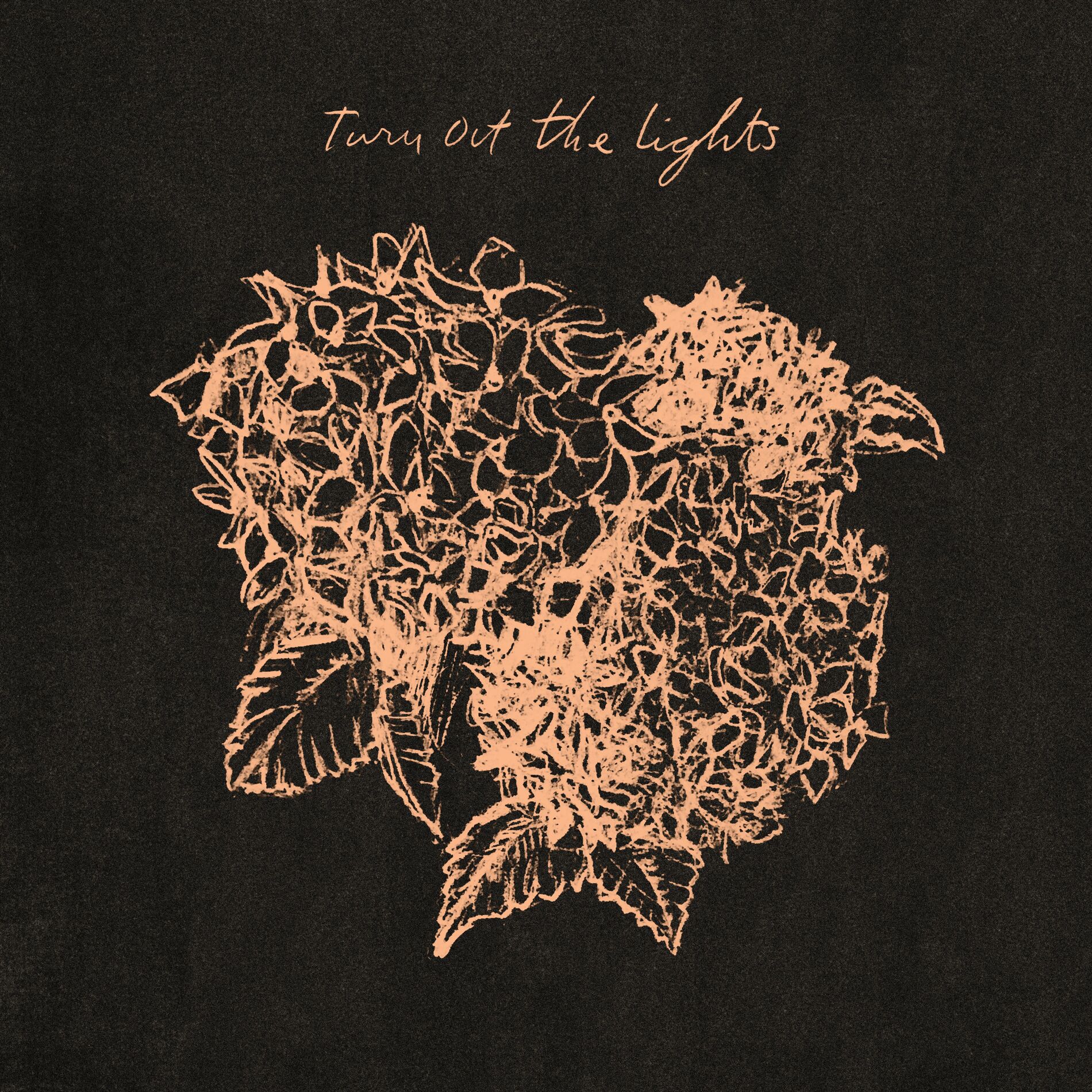 Album cover of Turn Out the Lights