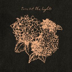 Cover of Turn Out the Lights