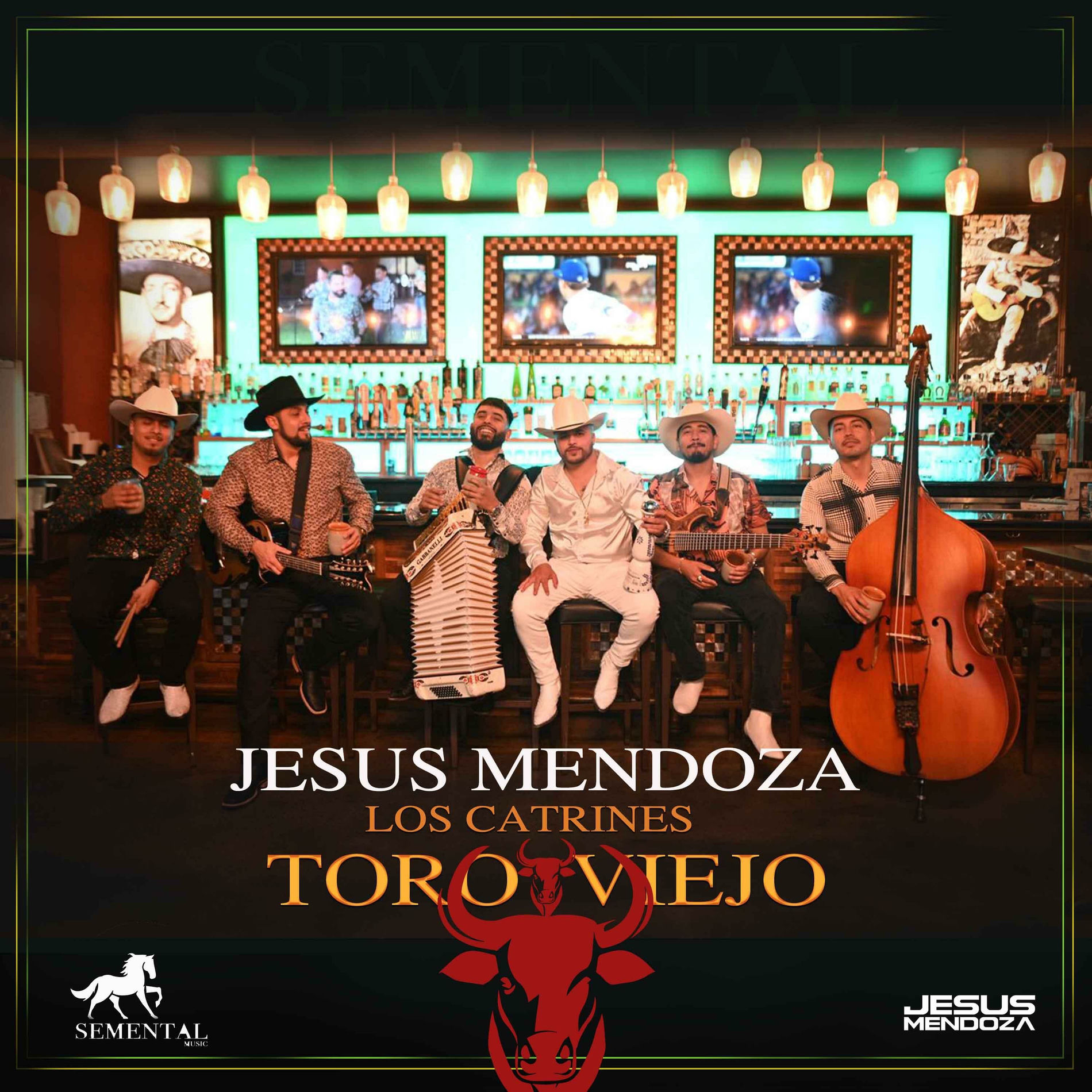 Album cover of Toro Viejo