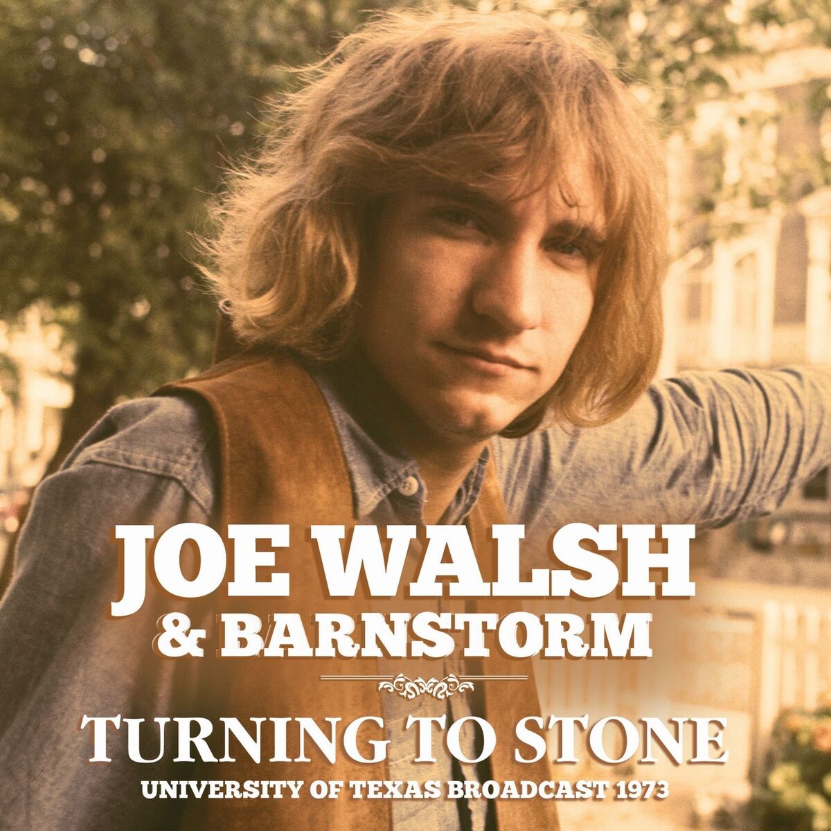 Album cover of Turning To Stone