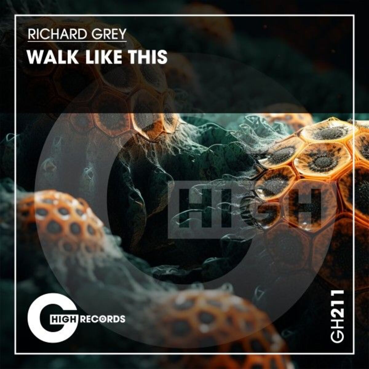 Album cover of Walk Like This