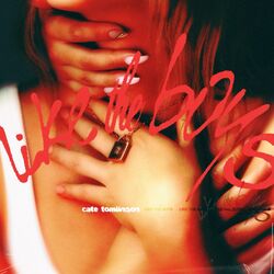 Cover of Like the boys