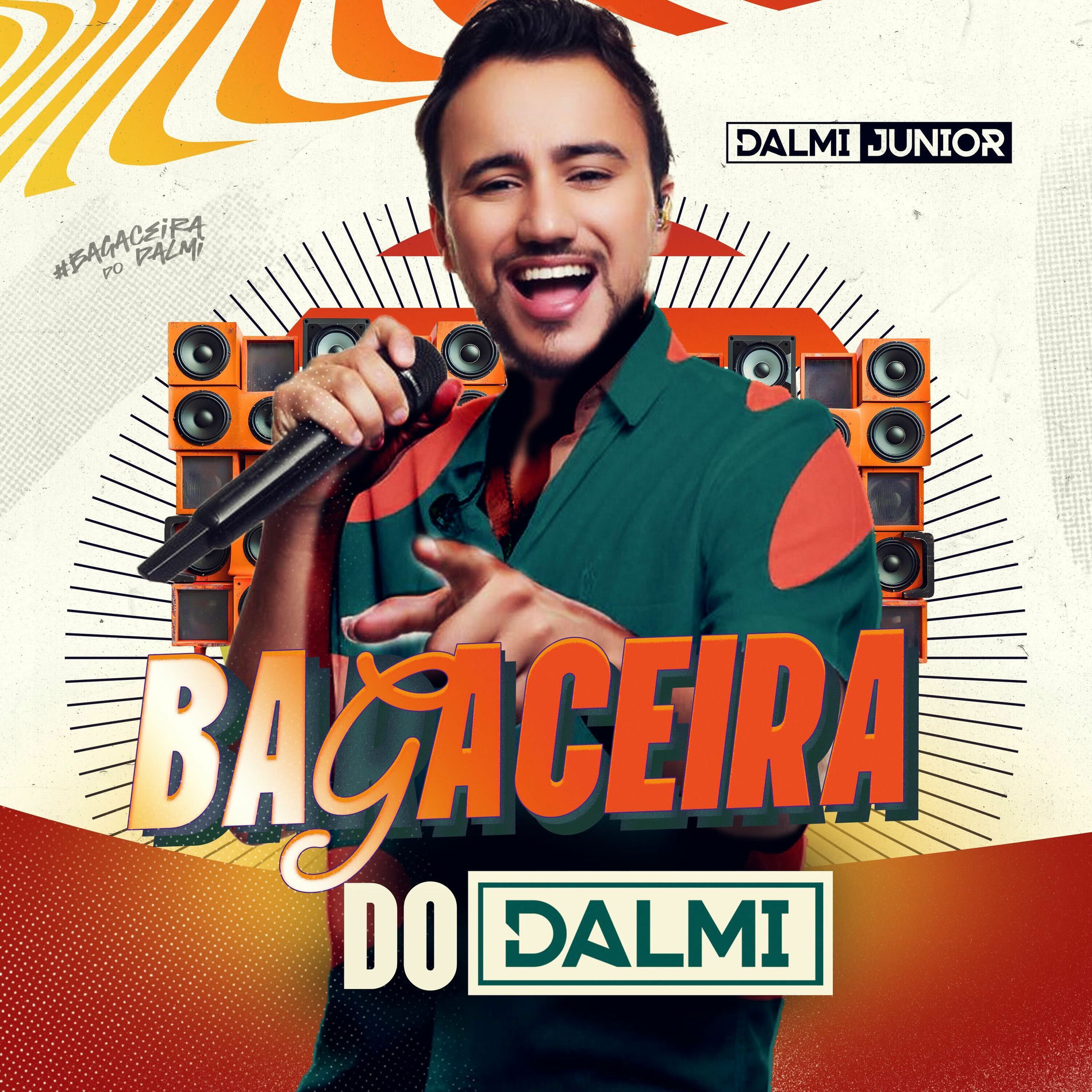 Album cover of Bagaceira do Dalmi (Ao Vivo)
