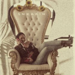 Cover of Sneakin