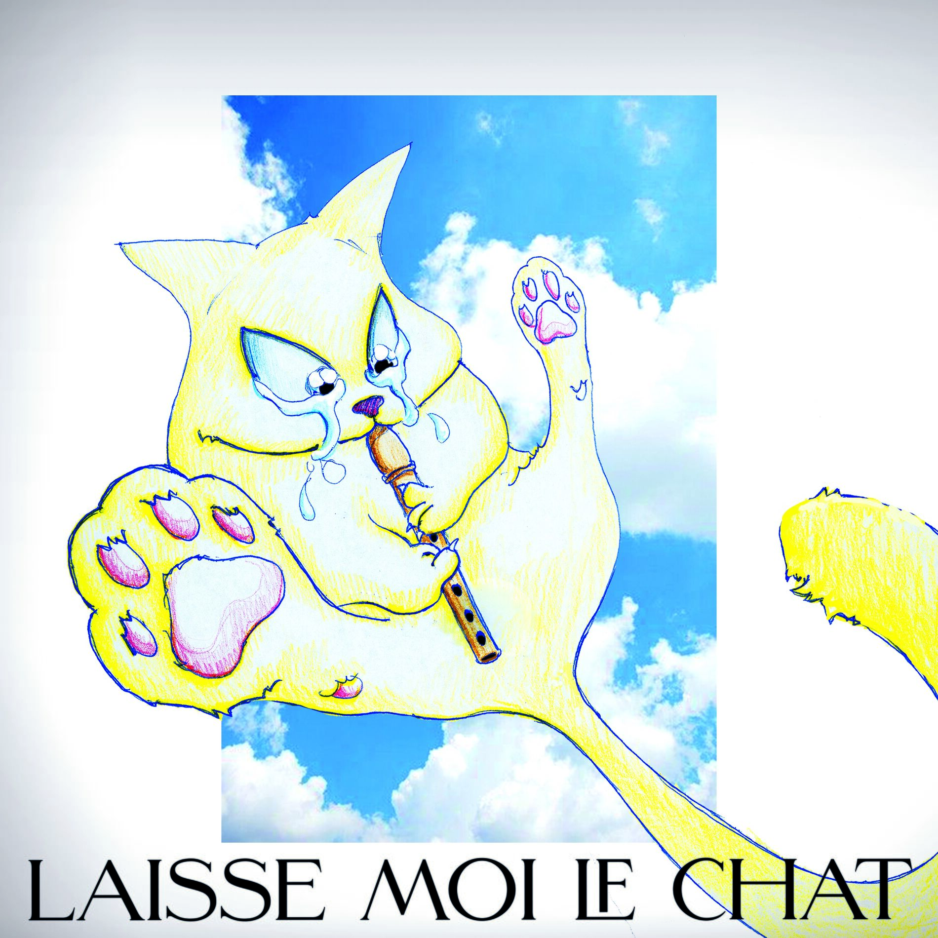 Album cover of Laisse moi le chat