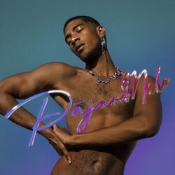 Cover of Pájaro Malo