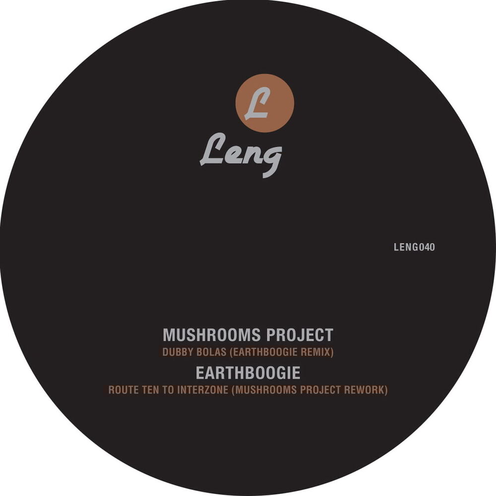 Picture of Mushrooms Project vs Earthboogie Remix EP